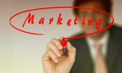 How Can Internet Marketing Services Help Build My Business?